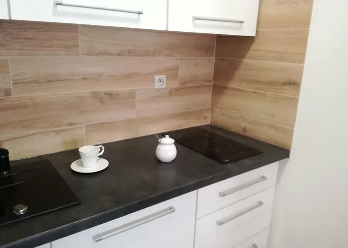 Novitas ヴロツワフ