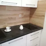 Novitas 弗罗茨瓦夫